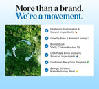 Lavender Bubble Bath for Kids with Aloe - Sudsy Baby and Kids Bath Wash with Relaxing Lavender Oil and Nourishing Barley Seed Extract Enriched with Aloe Vera - Sulfate and Paraben Free (16 Fl Oz)