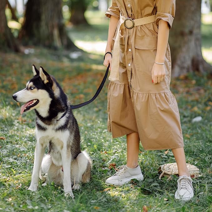 Baby Stroller Wheelchair Safety Wrist Strap or Large Dog Leash, Second Layer Security for Retractable Dog Leash, Black with Blue Stitching