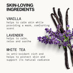 Pacifica Island Vanilla Body Wash Aloe + Hyaluronic Acid, Daily Cleansing, Bath & Shower Gel, Essential Oils, Clean, Vegan + Cruelty & Paraben Free, Clean Beauty Vegan Dermatologist Tested, 12 Fl Oz