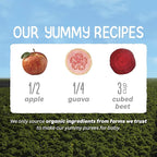Happy Baby Organics Stage 2 Baby Food Pouches, Gluten Free, Vegan & Healthy Snack, Clearly Crafted Fruit & Veggie Puree, Apples, Guavas & Beets, 4 Ounces (Pack of 16)