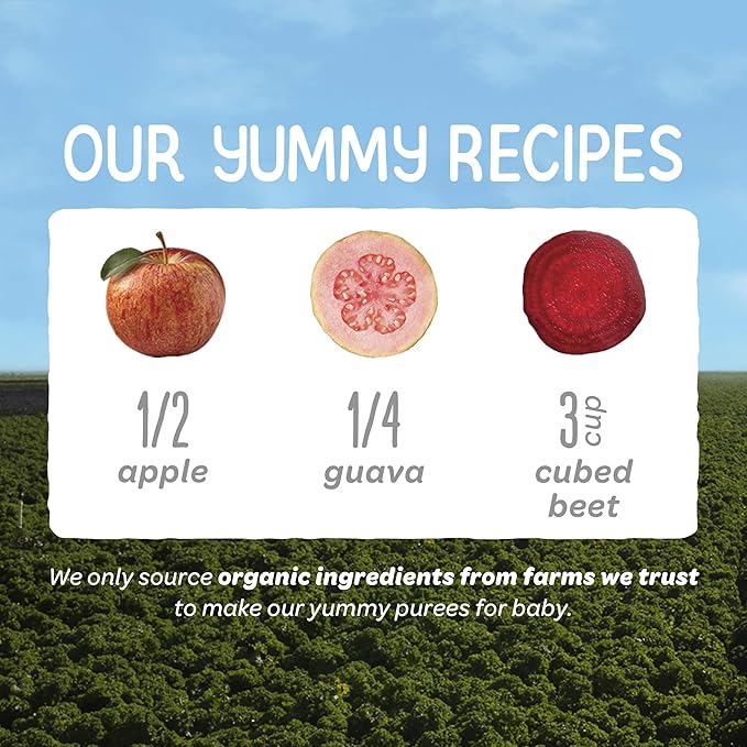 Happy Baby Organics Stage 2 Baby Food Pouches, Gluten Free, Vegan & Healthy Snack, Clearly Crafted Fruit & Veggie Puree, Apples, Guavas & Beets, 4 Ounces (Pack of 16)