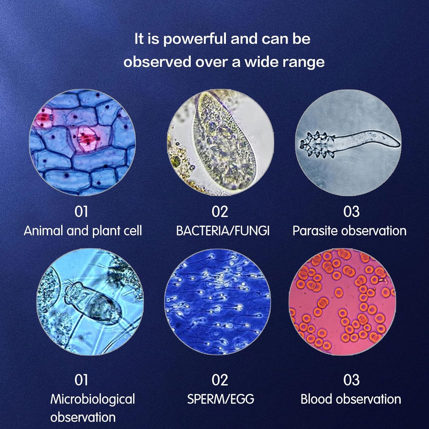 Compound trinocular Microscope, 40X-5000X Magnification, Digital Laboratory trinocular Compound LED Microscope with USB Camera and Mechanical Stage, WF10x and WF20x eyepieces, Abbe Condenser…