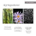 Intelligent Nutrients Liquid Green Body Oil, Intensive Hydration and Radiance, Antioxidant and Soothing for All Skin Types, Vegan, 3.4 Oz