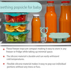 Silicone Baby Food Freezer Tray with Teething Popsicle Molds - Baby Fruit Feeder and Breastmilk Teether Combo