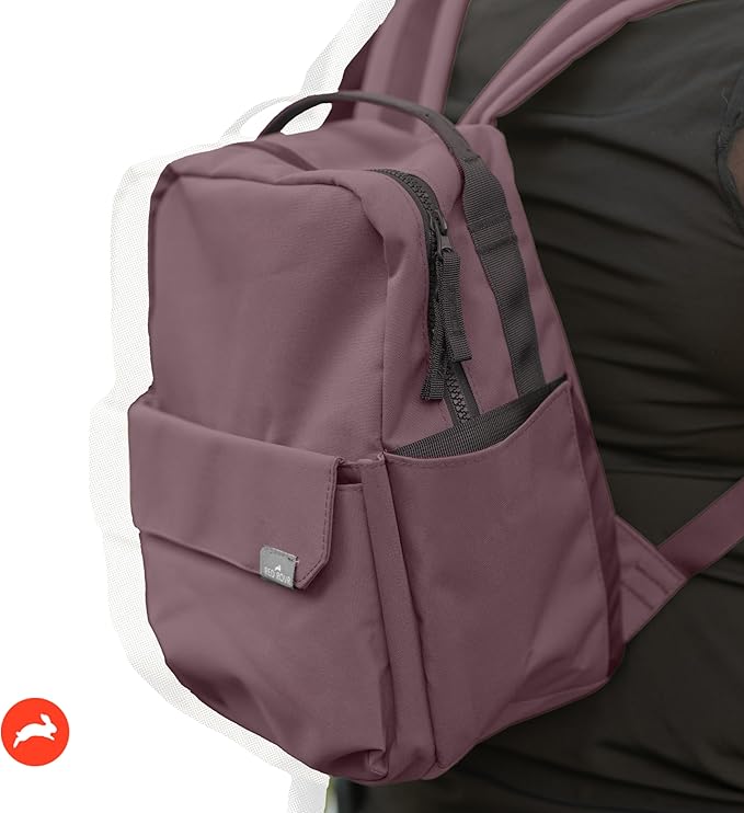 RED ROVR Mini Roo Lightweight Backpack | 6 pockets for everyday essentials (Mauve)