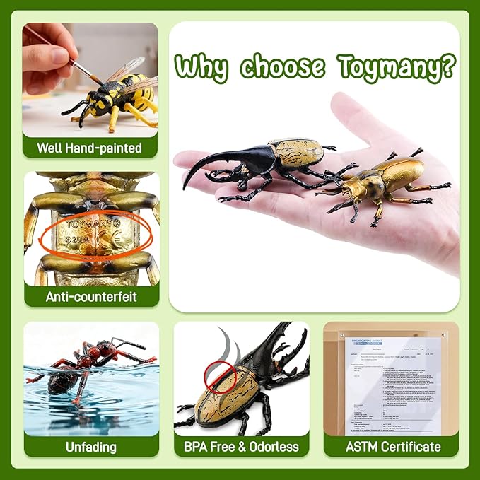 Toymany 12PCS Realistic Insects Figurines Toys - Plastic Bugs Figures Set with Cricket Bee Ant Dung Beetle, Educational Halloween Toy Cake Toppers Christmas Birthday Gift for Toddlers Kids