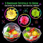 Original Stationery Dinosaur Crystal Growing Kit - Multicolor, 17-Piece, Ages 7 & Up - DIY Science Terrarium Kit with Moss & Dino Figures - Grow Your Own Crystals - Boys Birthday Gifts