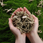 3 Otters 100PCS Army Men Toy Soldiers, Army Men Playset Plastic Soldier Figures Multiple Poses for Boys Birthday Gift Yellow