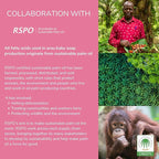 Essentials Bundle - Laundry Soap, Foam Body Soap, Foam Bottle Wash - Soap Based Products, Gentle on Skin, Cleans Well, Rinses Using Less Water, Perfect for Gifting, Baby Showers, and More