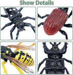 Toymany 12PCS Realistic Insects Figurines Toys - Plastic Bugs Figures Set with Cricket Bee Ant Dung Beetle, Educational Halloween Toy Cake Toppers Christmas Birthday Gift for Toddlers Kids