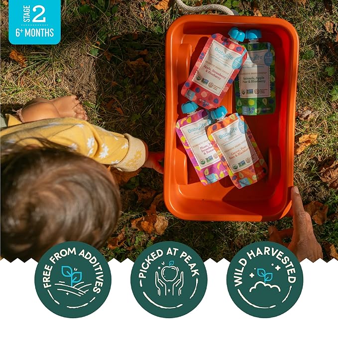 Babylife Organics Stage 2 - Spinach, Apple, Pear & Blueberry, 3.5 Ounce Pouch (6 Pack) - Heavy Metal Safe, Organic Baby Food