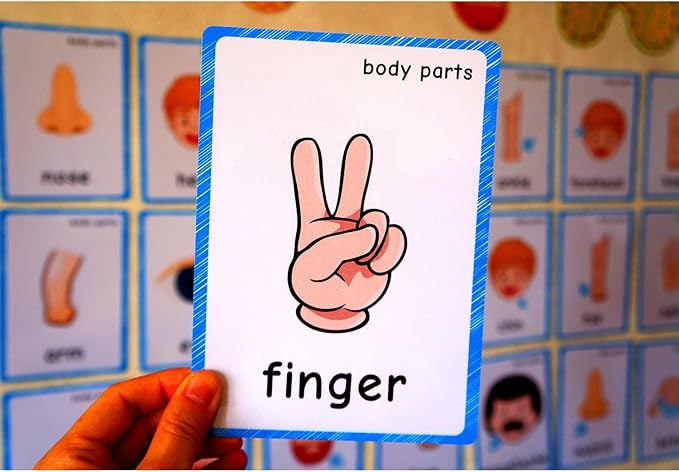 SANTSUN 36 Pieces of My Body Parts Flash Cards for Toddlers- The Flash HolePunched- So You can sort and Organize The Cards Easily and Early Learning Kindergarten Teacher Tools