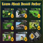 Bigger Amber Dig Kit - 8 Different Artificial Insect Resin,Excavate Unique Insect Specimens,Bugs Toys Educational Science Kits Toys for Kids,STEM Projects Gift for Girls & Boys Age 6-8-12-14 Year Old
