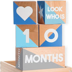 Baby Monthly Milestone Blocks — Cute Nursery Decor — Lovely Newborn Photography Props — Baby Shower Gifts (Blue & Gray)