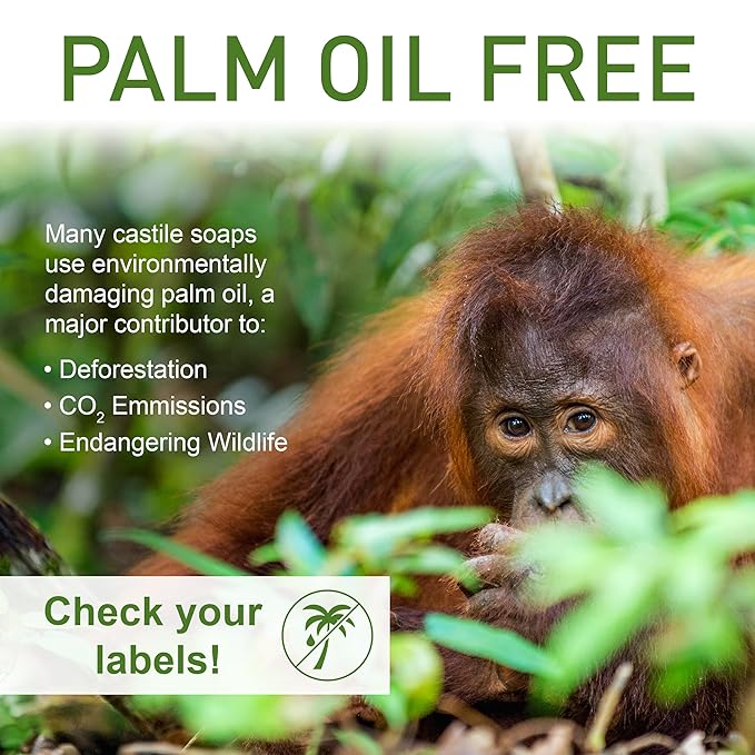 Pure Castile Soap - No Palm Oil, GMO-Free - Gentle Liquid Soap For Sensitive Skin & Baby Wash - All Natural Vegan Formula with Organic Carrier Oils (16 Fl Oz, An Unscented)