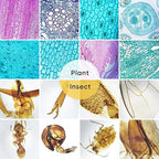 120 Microscope Slides with Specimens,Prepared Microscope Slides for Kids,Glass Slides for Microscope,Prepared Slides for Kids Microscope,Microscope Slide Preparation Kit for Biology Science Classes