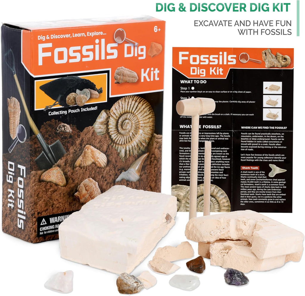 AMSCOPE-Kids 120X-1200X Black Metal Arm Starter Kids Student Microscope Kit with Fossil Dig Activity Kit and Insect Slides - M30-ABS-KT2-KVB2