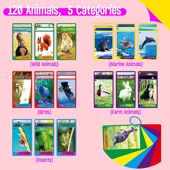 My First 120 Animals, 60PCS Realistic Zoo Animal Cards Farm/Wild/Marine Animals/Insects/Birds Flashcards Montessori & Science Educational Toys Preschool Learning for Homeschool Preschool Toddler Kids