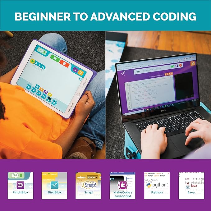 BirdBrain Finch Robot Starter Flock with Microbit I STEM Coding Robot for Classrooms I Learn Python and 8 Coding Languages I Programmable Robotics I Remote Control and App Controlled | Ages 5 to 16