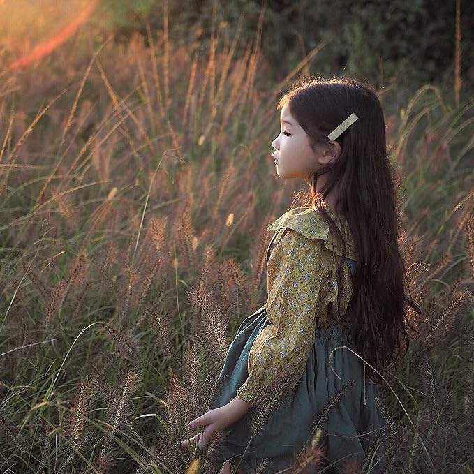 Hair Clips for Girls Women,Assorted 20Pcs Solid Colors Hair Accessories for All Age Girls Toddler Kids,Fully Lined Alligator Clips Handmade Barrettes By Fancy Clouds