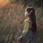 Hair Clips for Girls Women,Assorted 20Pcs Solid Colors Hair Accessories for All Age Girls Toddler Kids,Fully Lined Alligator Clips Handmade Barrettes By Fancy Clouds