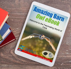 Amazing Owl Pellet Dissection Kit 5-Piece Set for Science Lab Projects Includes Tweezers and Wooden Probes Ideal for Ages 15 & Older Barn Owl eBook Included