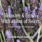 Dr. Bronner's Organic Sugar Soap (Lavender, 64 Ounce)- Made with Organic Oils, Sugar & Shikakai Powder, 4-in-1 Uses: Hand and Body Wash, Face, Hair- Cleanses, Moisturizes, Nourishes, Vegan