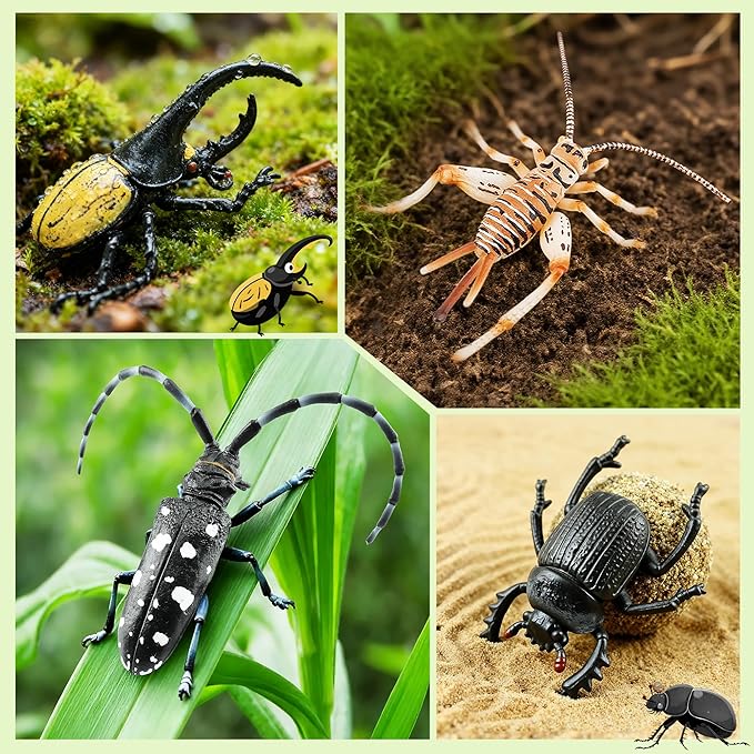 Toymany 12PCS Realistic Insects Figurines Toys - Plastic Bugs Figures Set with Cricket Bee Ant Dung Beetle, Educational Halloween Toy Cake Toppers Christmas Birthday Gift for Toddlers Kids