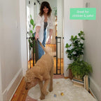 Ingenuity Multi-Use Decorative Extra Tall Walk-Thru Baby Gate, Fits Openings 28.5-48 Inch (Pack of 1), Black Metal, for Doorways and Stairways, 36' Tall Baby and Pet Gate, Black, One Size